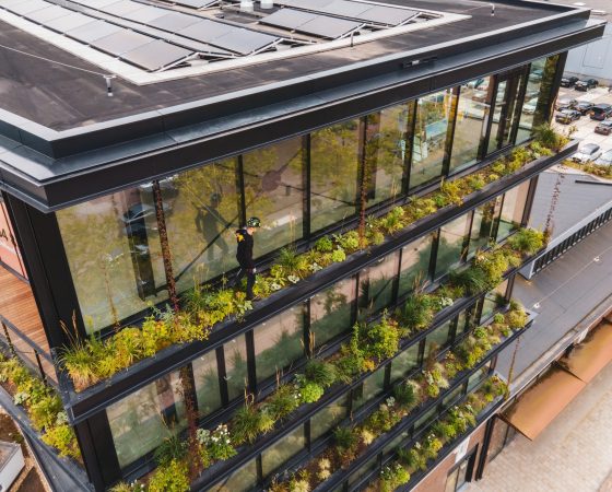 Drone Survey and Photogaphy